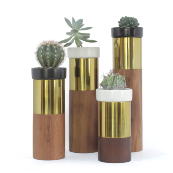 Product-TO-TEM-GOLD-SET